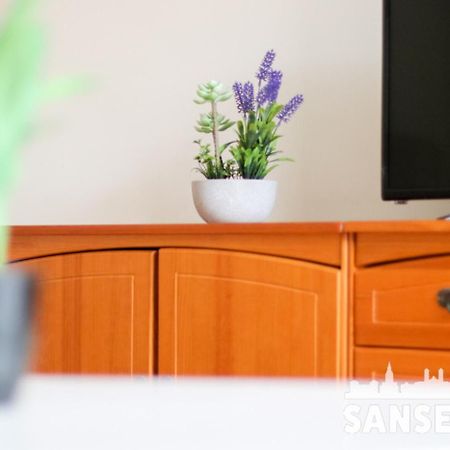 Apartamento Colon By Sanse Holidays San Sebastián Zewnętrze zdjęcie