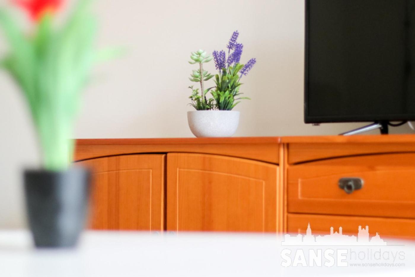 Apartamento Colon By Sanse Holidays San Sebastián Zewnętrze zdjęcie